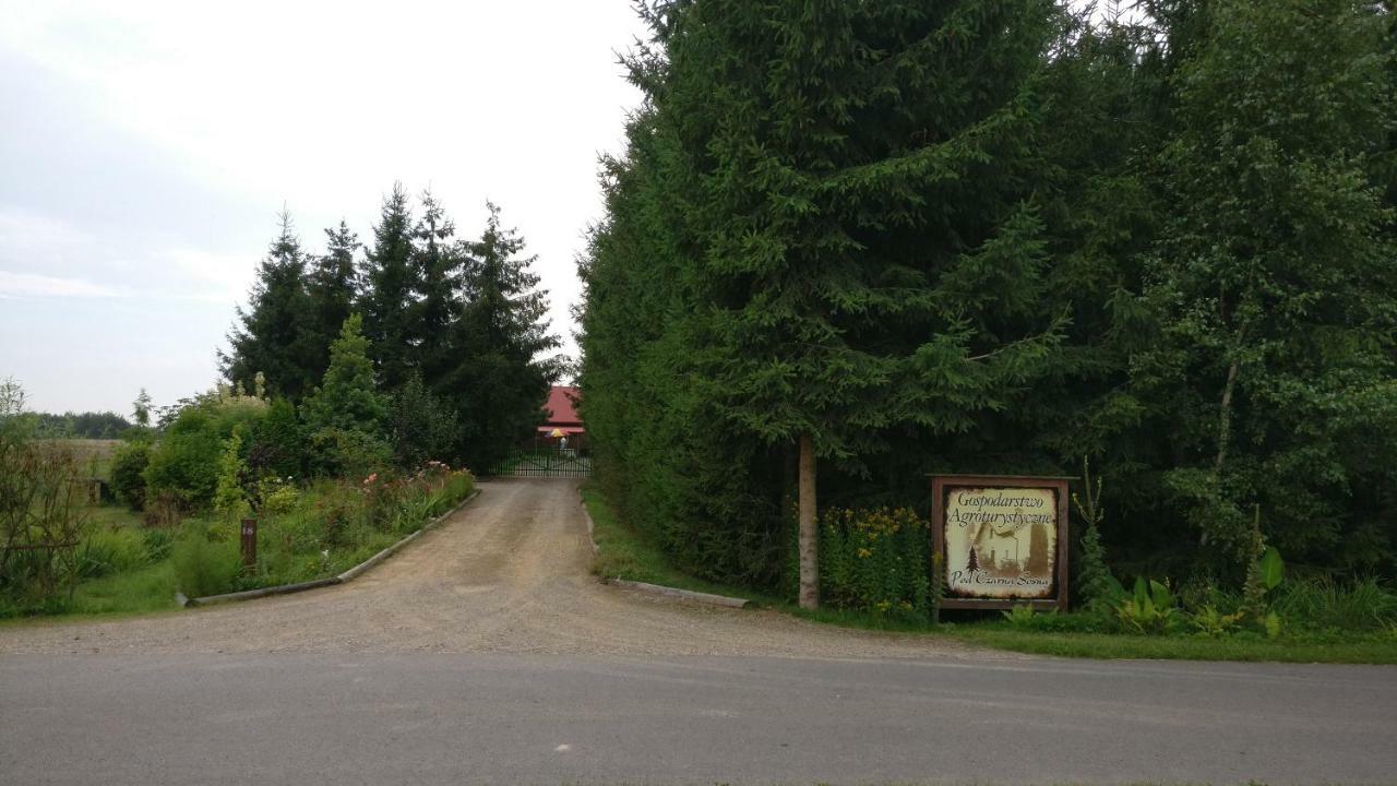 Agroturystyka Pod Czarna Sosna Bialy Lug Luaran gambar