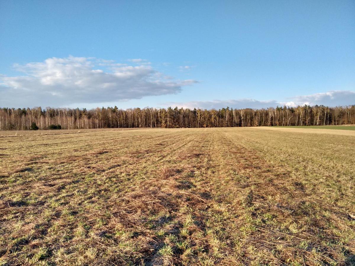 Agroturystyka Pod Czarna Sosna Bialy Lug Luaran gambar