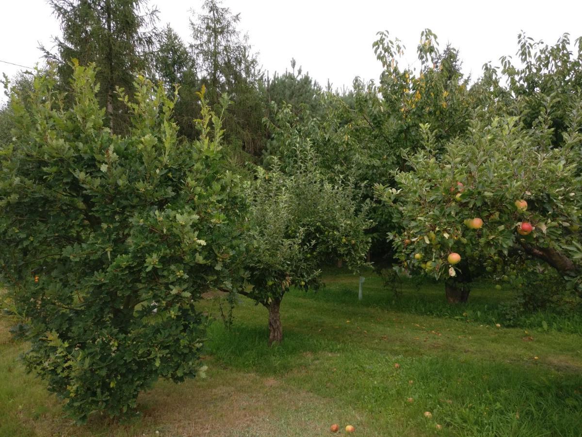 Agroturystyka Pod Czarna Sosna Bialy Lug Luaran gambar